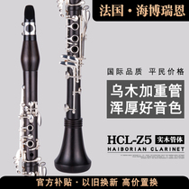 French Highbor Ryan Ebony B-down 17-key clarinet black pipe instrument for children and adults professional performance for beginners