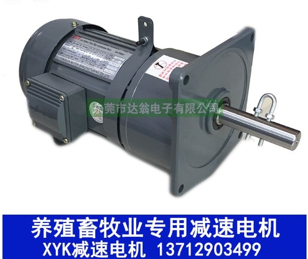 Reduction motor 750w 19 shaft livestock breeding stock line Deceleration Motor 1 1KW Chicken Breeding Pig Feed Line Motor