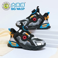 Черный и серый (весенняя революция)