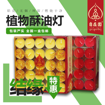 From the garden ghee lamp for the Buddha lamp Home 4 hours Vegetable Oil Smoke-free 8 Hours Candle Light Sacrifice for the environmental protection of the Buddha