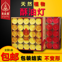 From the garden ghee lamp 4 hours candle candle for the Buddha lamp 12 Home Buddha Former long Ming smokeless and odorless festive
