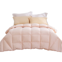 Luolai Home Textiles Childrens Down Quilt Winter Thickened Warm 95 White Goose Down Quilt Core Spring and Autumn Quilt Washable Summer Quilt