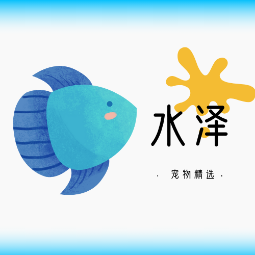 水泽宠物水族精选的LOGO