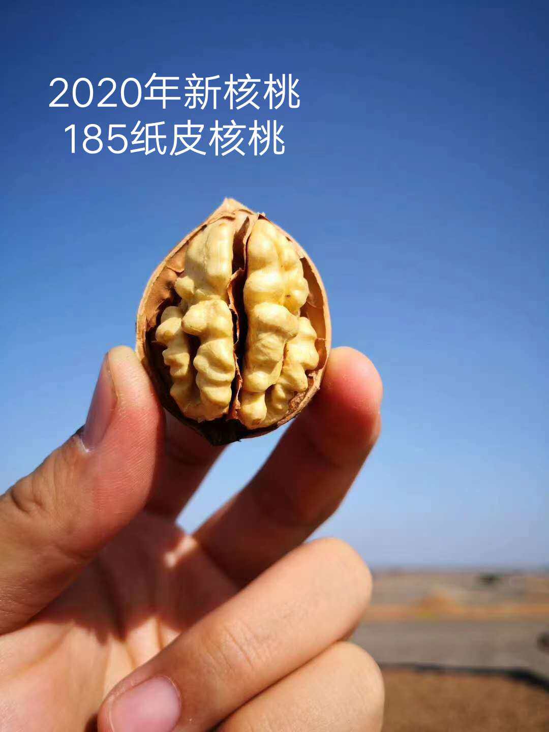 Xinjiang special production 2020 New walnut 1000g 185 selected thin skin walnut fragile nut pecorino