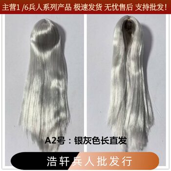 1/6 Female Soldier Head Sculpt Wig Set for Hair Modification A2: Silver-Gray Long Straight Hair