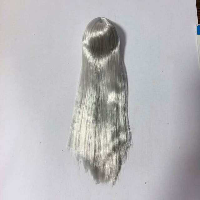 1/6 Female Soldier Head Sculpt Wig Set for Hair Modification A2: Silver-Gray Long Straight Hair