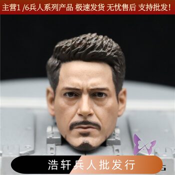 Special Offer Iron Man Downey Tony Head Sculpt 1/6 Action Figure Head Sculpt Model High Quality Suitable for Ht Male Figures