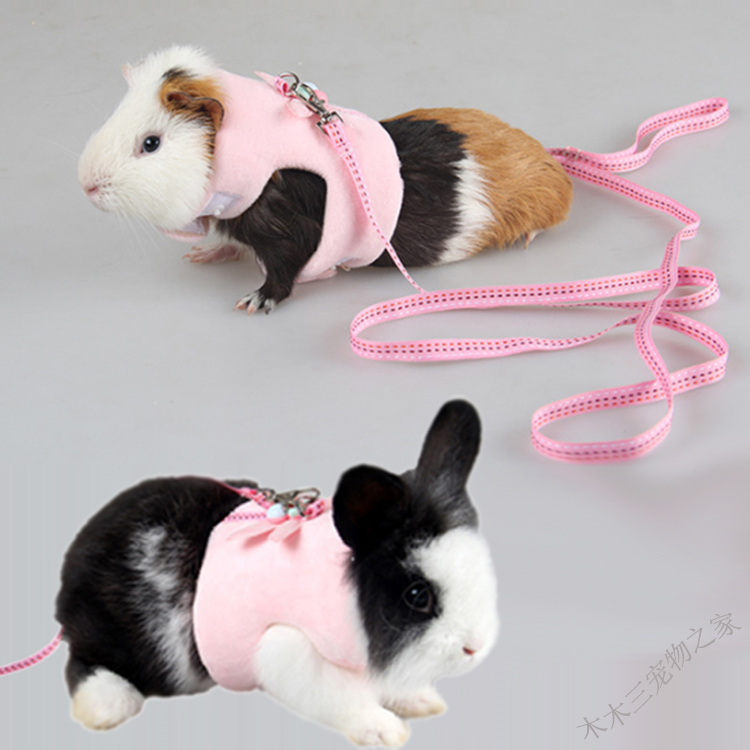 Small pet guinea pig rabbit rope warm clothes velvet walk guinea pig chinchilla kitten chest hold baby bag out traction rope cotton