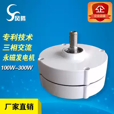 Magnet Rare Earth Permanent Magnet Generator High Efficiency 100W200W12V24V Wind Generator Customized Factory Direct