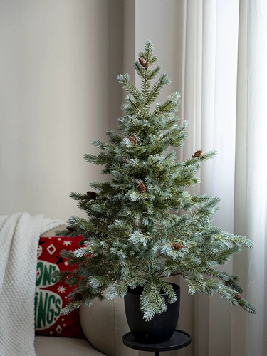 2024 Новый Pe Рождественская елка украшение для дома Рождественское украшение Рождественская атмосфера макет сцены реквизит