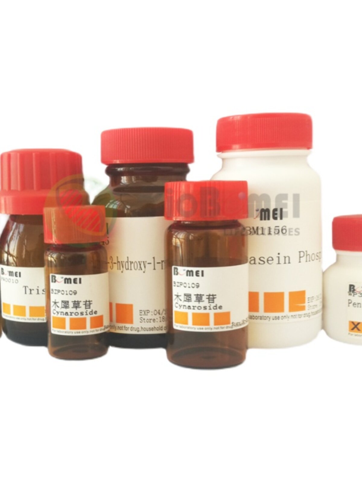 Bradford蛋白定量试剂盒  分析总蛋白含量 用于蛋白浓度检测 含票