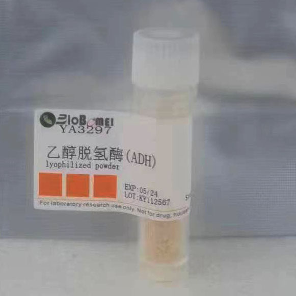 乙醇脱氢酶  &ge;300u/mg 科研实验试剂CAS:9031-72-5  现货含票
