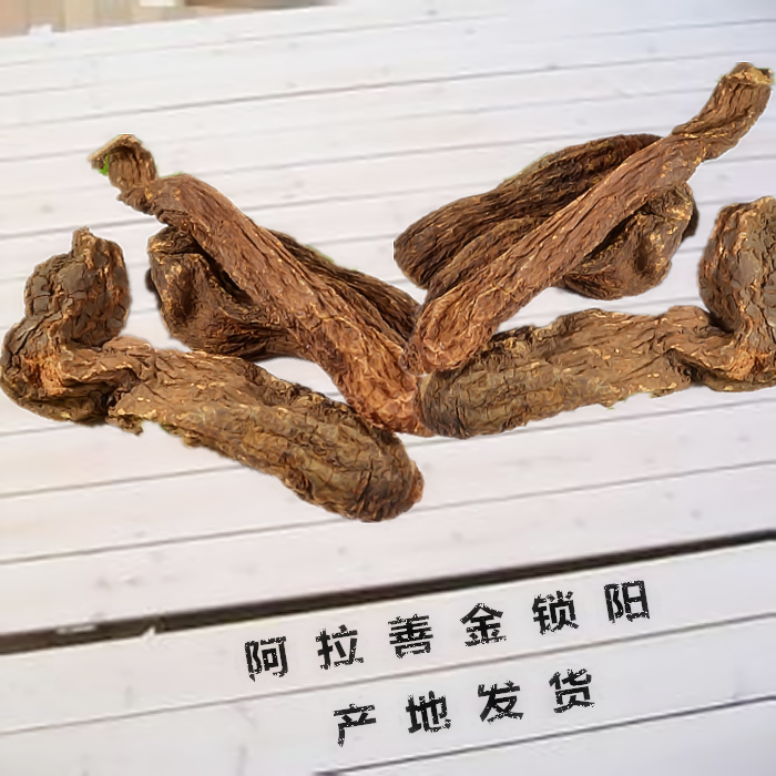 Inner Mongolia Alxa specialty gold Suoyang Suoyang block Suoyang piece 250g two