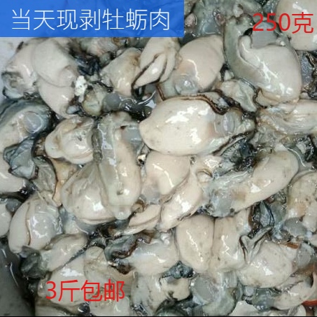 Now Exfoliating Oyster Meat Fresh Raw Oyster Meat Now to Shell Sea Oysters to Lianyungang Sea Products 250 gr
