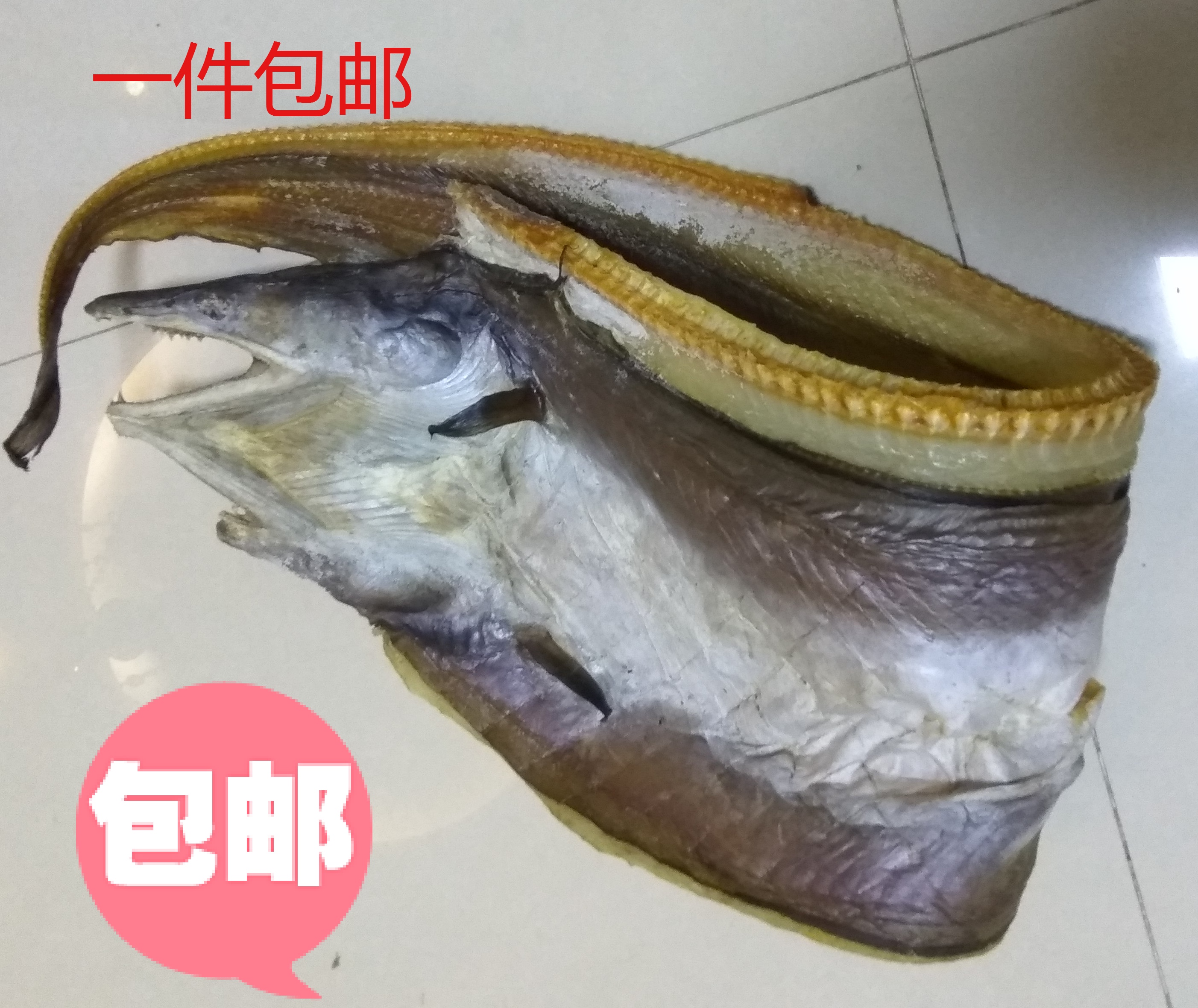 Wild Sea Eel Dried Eel Dry Eel Dry Sea Eel Dry Eel seafood Dry stock  