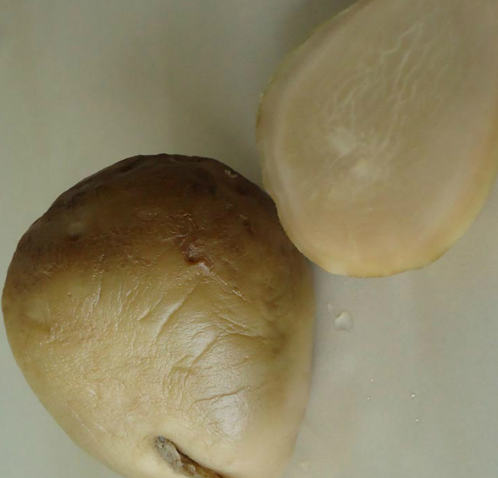 Lianyungang Ganyu crispy spicy dishes Goku pickle head 500g