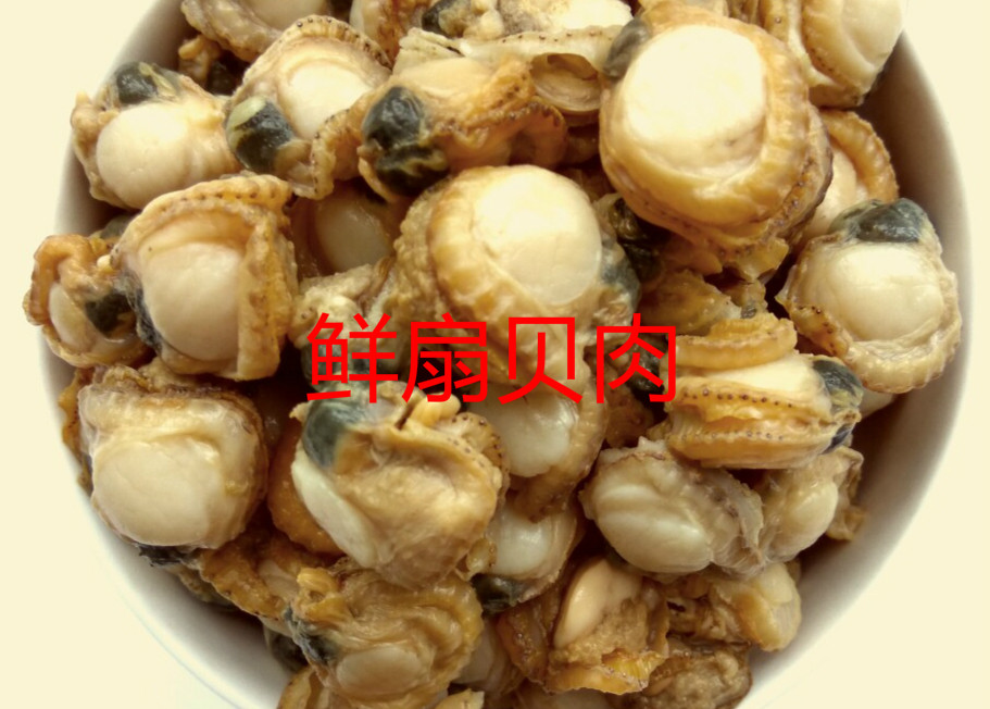 Aquatic Shellfish Shell Seafood Fresh Scallop Meat Fresh Aquatic Shellfish shell Class seafood Lianyungang 250 gr