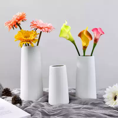 Nordic minimalist modern creative Vase ornaments drying flowers fresh dining table decorations living room home decoration ornaments