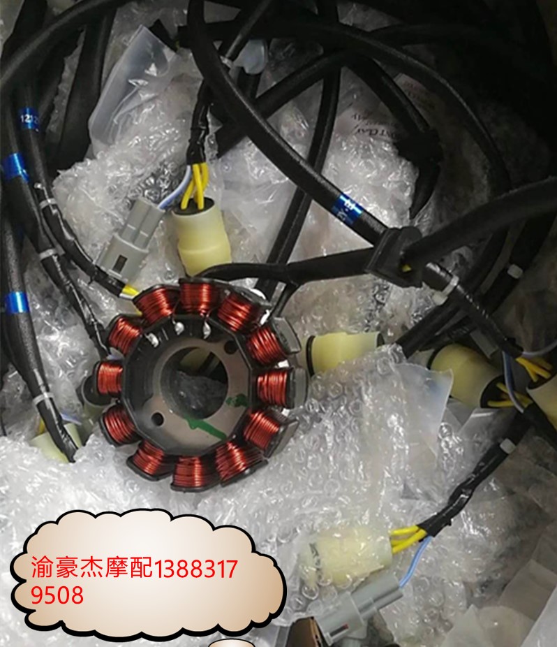 Pole thief Bozoer Zuma RX3 Huayang T6K6 S8 annihilates 5 Zongshen NC250 magnetic steel coil magneto stator