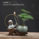 Маленький горшок с горшками монахи (Wenzhu+Lotus Pot Port+Black Mucyi)