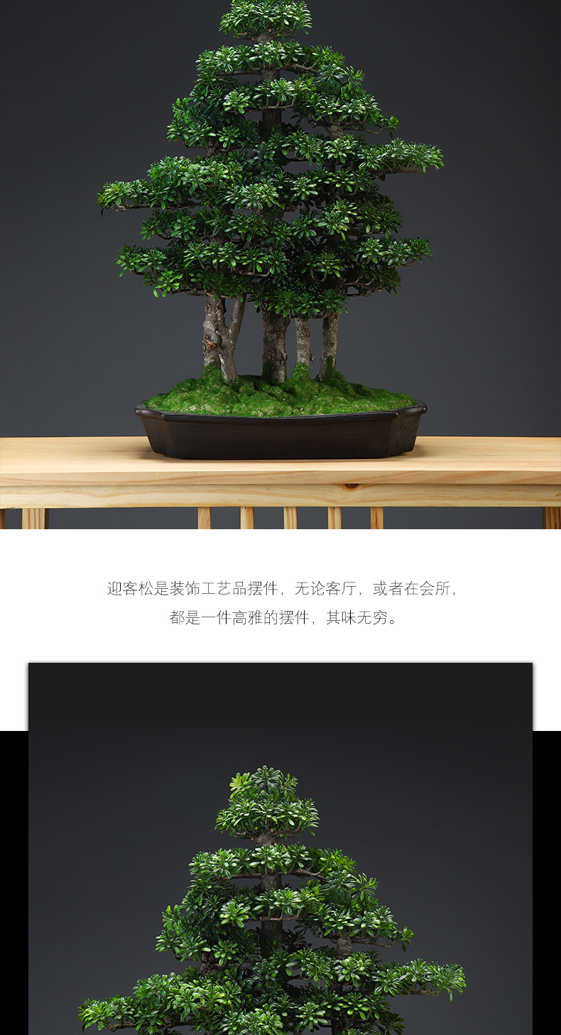 MaiTao creative home simulation the plants green plant guest - the greeting pine furnishing articles sitting room adornment miniascape of new Chinese style example room