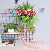 Нагото кимин розовая стена висит