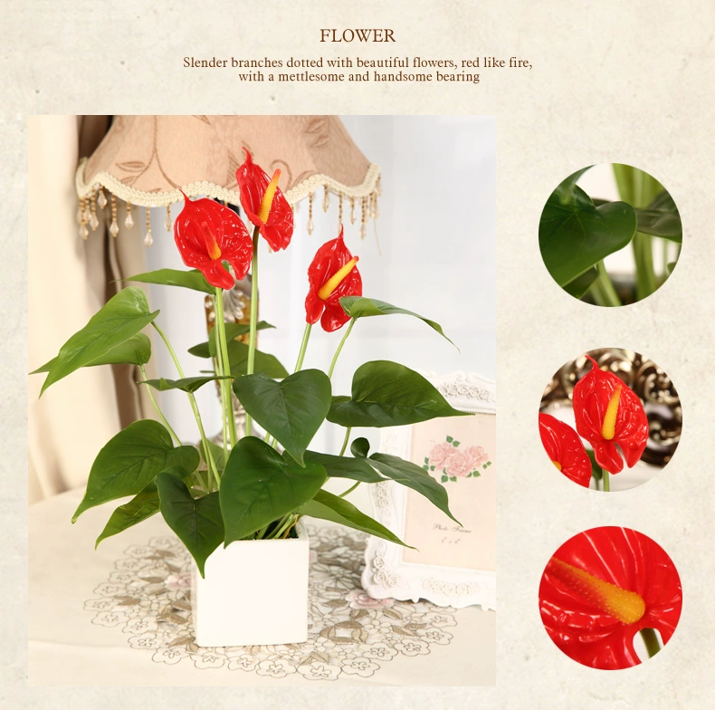 Mô phỏng cây xanh Anthurium chậu nhỏ cây giả phòng khách hoa giả trang trí hoa nhà cây hoa nhỏ bonsai bộ - Hoa nhân tạo / Cây / Trái cây