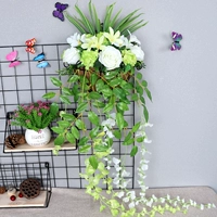 Роза гидрангея глицерия цветы синие и белые полусухой стены висят