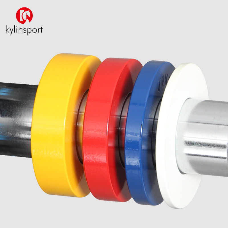 KYLIN SPORT钢制哑铃片 0.25kg家用健身器材配重片