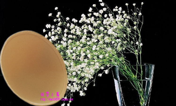 Pads pour soutien-gorge - Ref 817264 Image 21