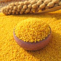  Northeast seasonal new yellow millet confinement porridge farm specialty round Qing waxy stomach-nourishing grains 5 kg of grains