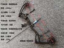 Stinger Venom Car mini mini mini small car hunting shooting children archery sports composite bow arrow DIY accessories