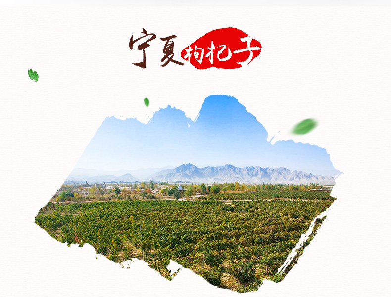 Tai'antang Wolfberry_03.jpg