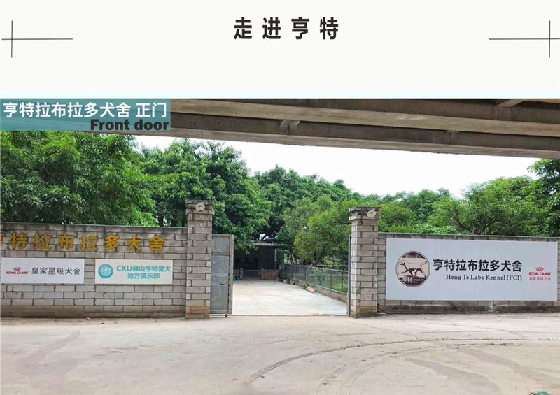 Thức ăn cho chó tổng hợp dành cho chó trưởng thành tùy chỉnh Hentra Brado Kennel để tự sử dụng 20 kg / miếng - Gói Singular thức ăn chó