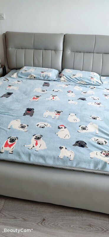 Flannel blanket four-piece bed set woolen towels by cloud mink suede blanket single dormitory Three sets of pillowcase special price