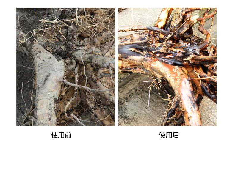 Автомойка 熊猫500公斤工业用清洗机 PANDA SOFTWARE