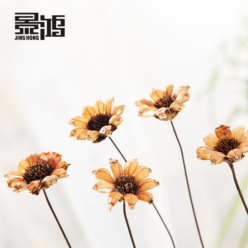 ���谢ɣ��װ�λ�0030