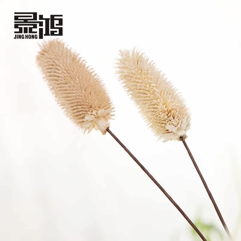 ������ë��/��԰װ�λ�