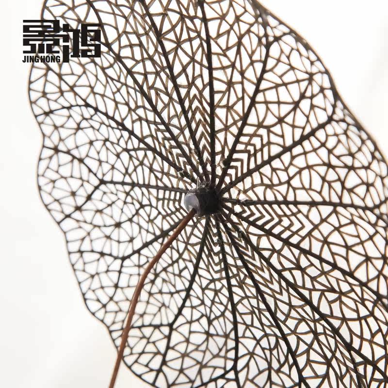 �������ϻ������Ҷ