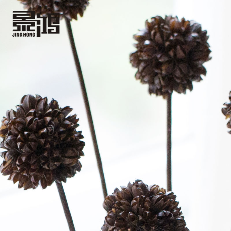 ����ɻ��ɹ������ڼ�