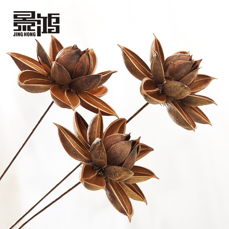 ����ľ����/̨������ٻ�0006