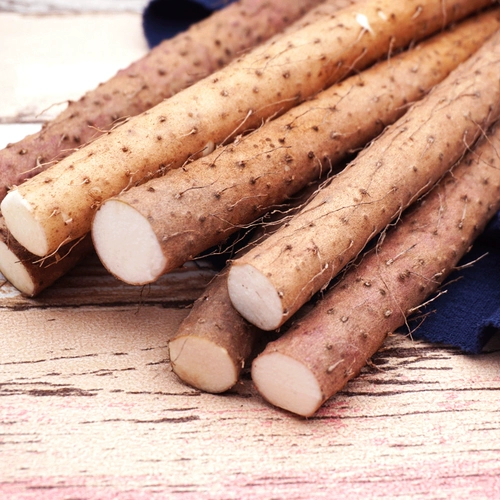 聚怀斋 Jiaozuo wenxian свежее песчаное железо, палка, подарочная коробка Yam 3kg 80/90 см Huai Yama