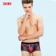 ZOD quần lót nam bốn màu quần boxer quần short nam thanh niên quần short gợi cảm mùa thu và quần short mùa đông