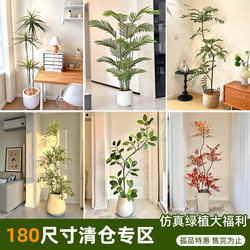 Clearance Sale of High-End Luxury Artificial Green Plants, Large Decorative Ornaments for Living Rooms, High-Quality Realistic Indoor Floor-Standing Fake Trees