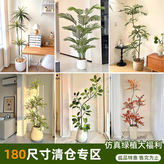 Clearance simulation green plants high-end light luxury decorative ornaments large living room advanced bionic indoor floor-standing potted fake trees