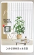 24 ye fa daise ree tree Отправить цветочную корзину