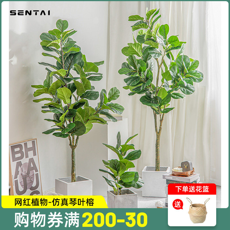 Nordic ins emulated plant violin leaf banyan bionic green planting large potted plant swaying parlor room for decoration fake plants-Taobao