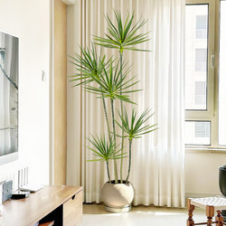 Large Floor-Standing Ornaments for the Living Room, High-End Luxury Faux Green Plants for the Entrance, Simulated Millennium Wood Plants