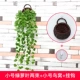 Cây mô phỏng hoa giả mây nho cây xanh tường trong nhà ống nước điều hòa không khí trang trí lá xanh treo tường cây nhện - Hoa nhân tạo / Cây / Trái cây cây giả