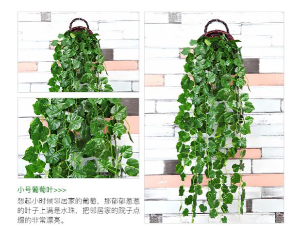 Cây mô phỏng hoa giả mây nho cây xanh tường trong nhà ống nước điều hòa không khí trang trí lá xanh treo tường cây nhện - Hoa nhân tạo / Cây / Trái cây bình hoa giả